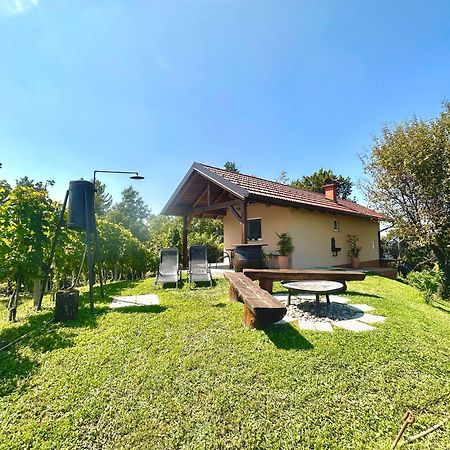 Holiday House Tomajna Podlehnik Exterior foto